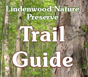 Trail Guide icon