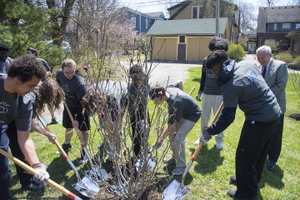 Arbor Day 2018