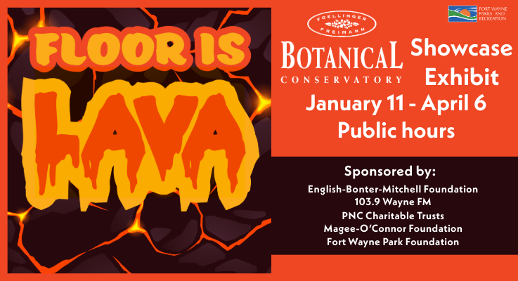Floor_is_lava_sponsors_updated.png