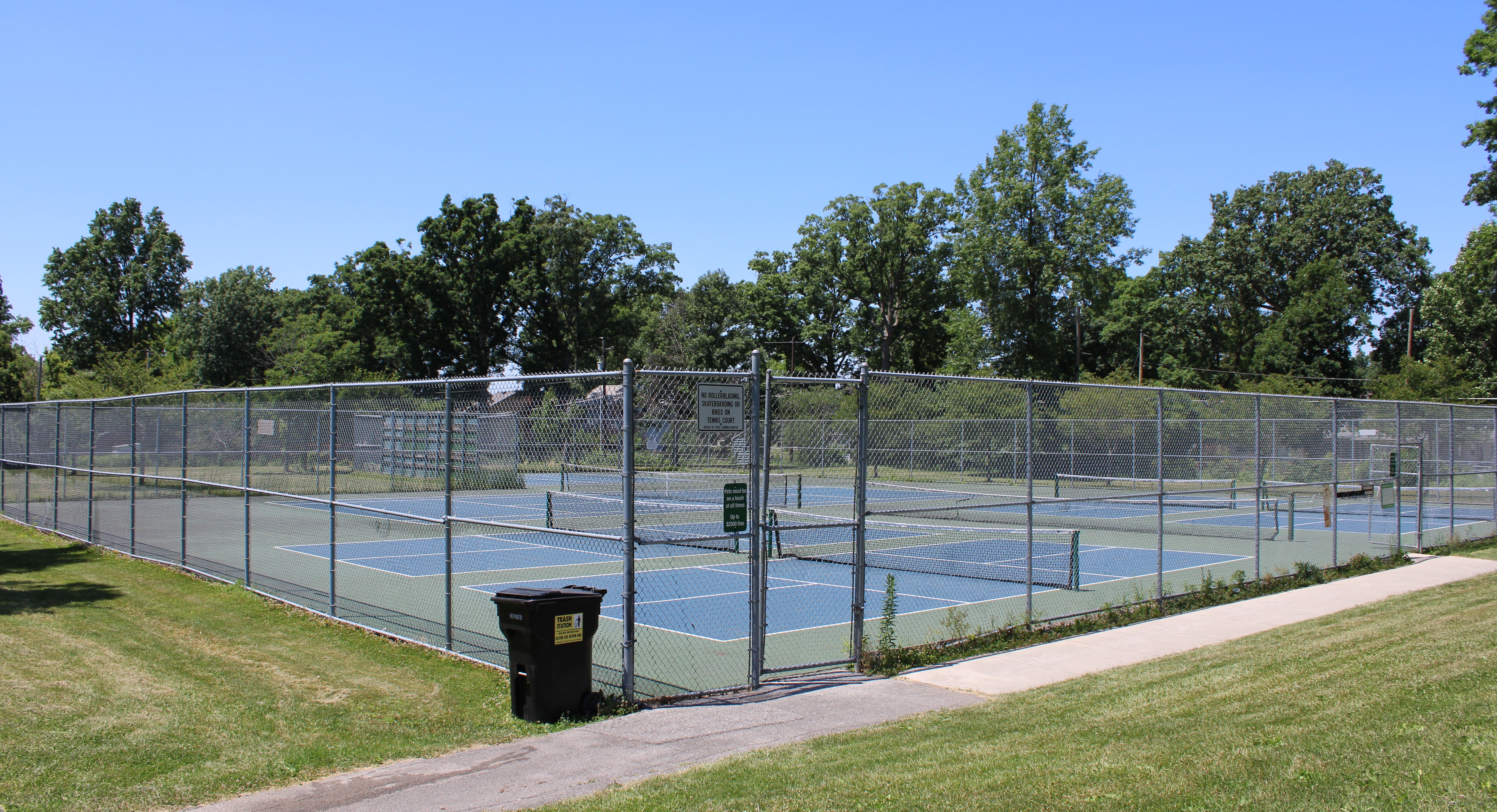 Lion_tennis.JPG