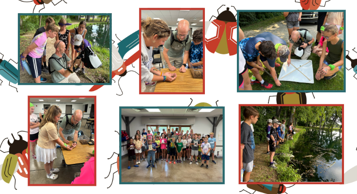 River_bugs_collage.png