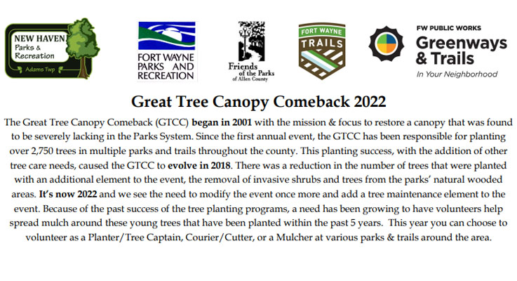 great tree canopy comeback slide