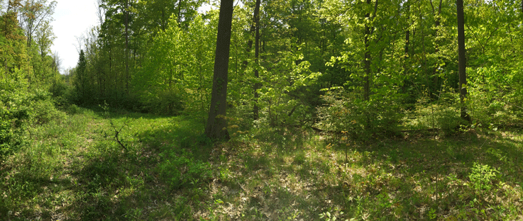 BucknerIMG 4675