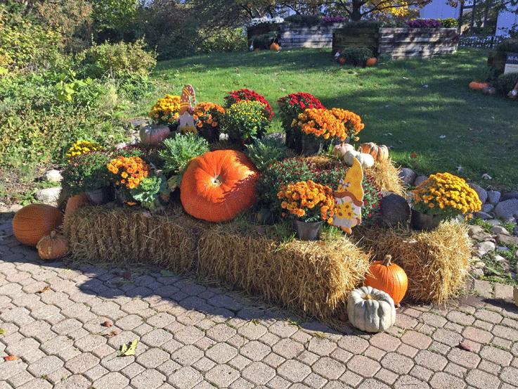Garden pumpkins