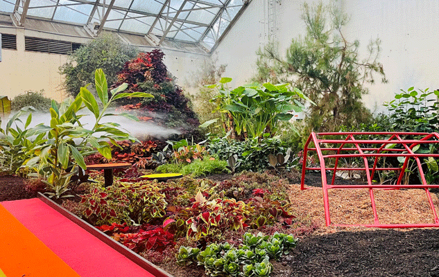 Exhibit Jungle Gym 1 sm