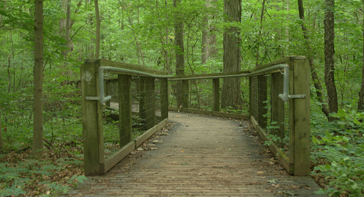 Lindenwood bridge