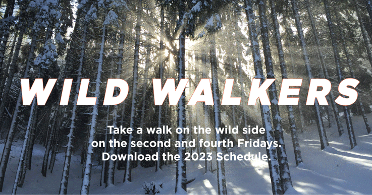 Wild Walkers Winter 2023 1200x630 slide