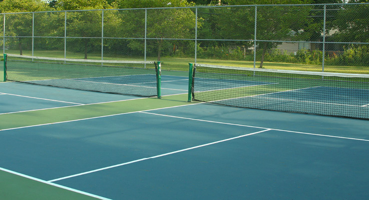 Lion tennis court