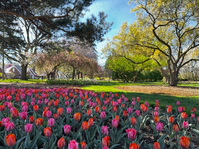 Mid April Fos 4