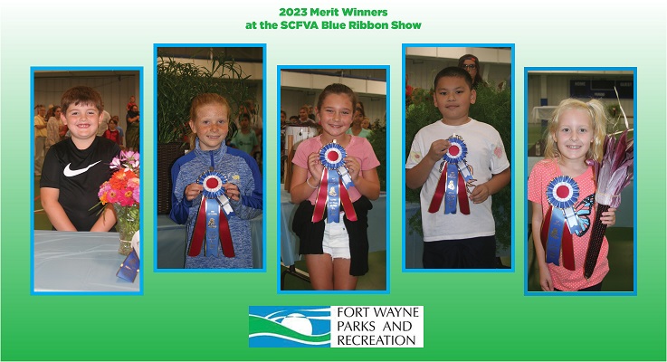 2023 Merit Winners 737x400