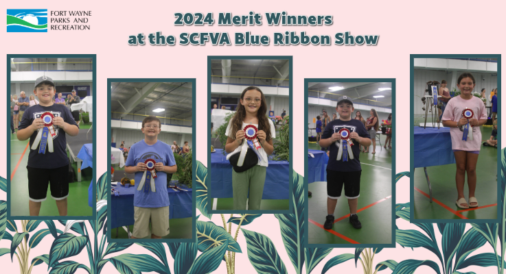 SCFVA Winner updated