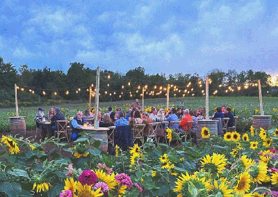 Dinner in flower field 2sm