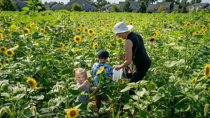 Salomon Farm Videos Fort Parks and Recreation