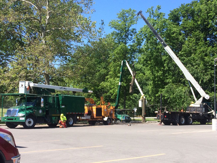 Crews working in parksmall