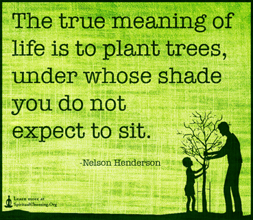 Tree quote