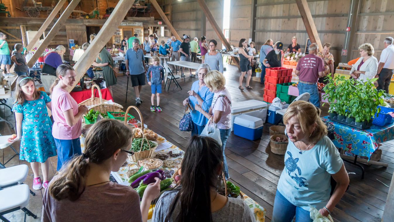 inside barn 3