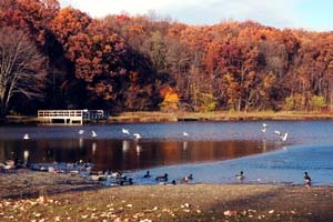 lake