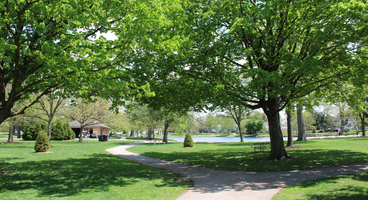 lakeside_trees.JPG
