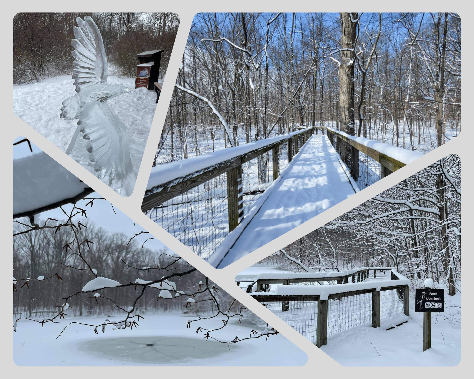 lindenwood_winter.png