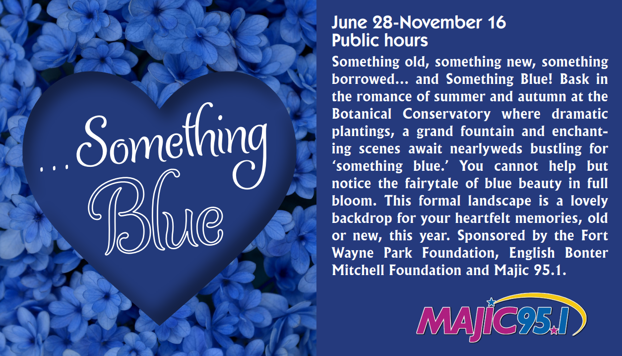 something_blue.png