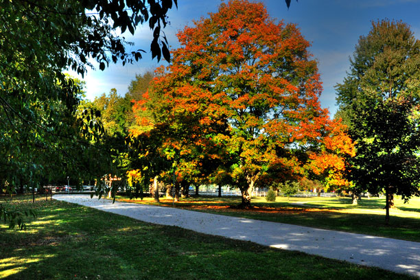 DSC 9643 4 5-foster-fall-color-tree-slide