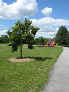 bloomingdale_2