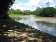 bloomingdale_3