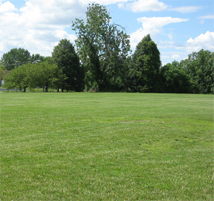 bloomingdale_8