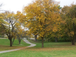 100_2710-1