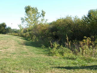Natural swale