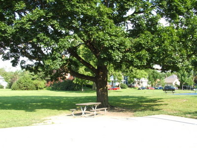 picnic table