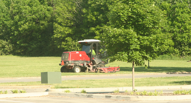 Franke mowing 2