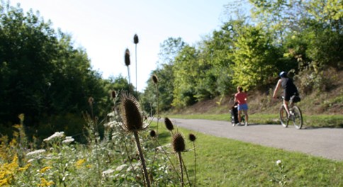 Franke park 2025 mountain bike trails