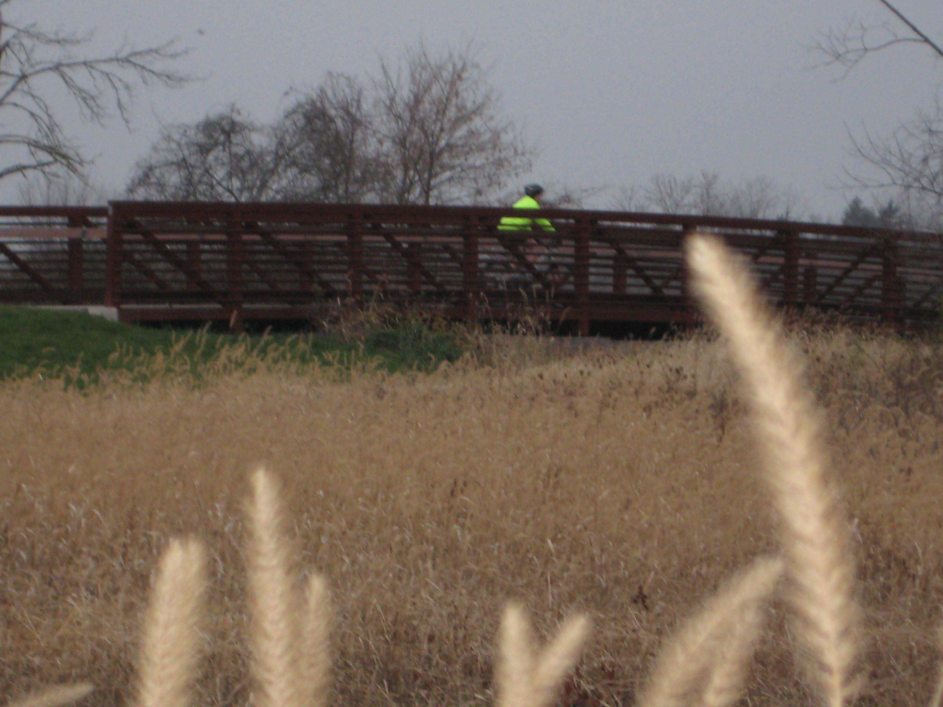 Towpath Trail Bridge Bike