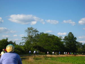 Towpath Trail Line of Cyclists T3