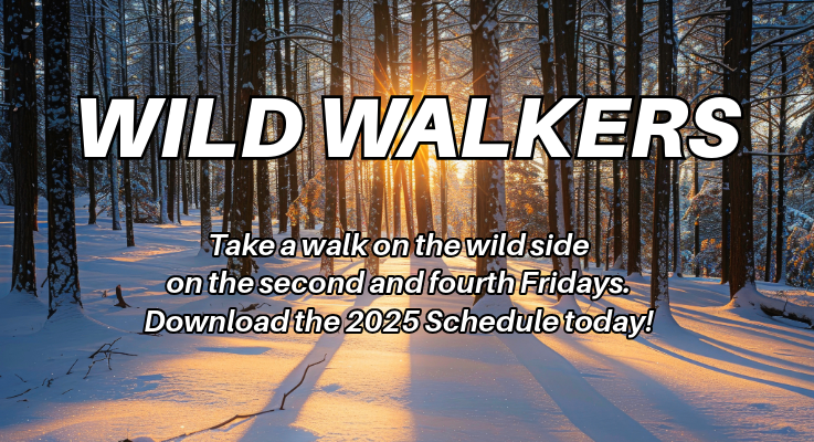 wild_walkers.png