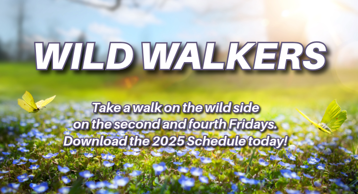 wild_walkers_spring.png