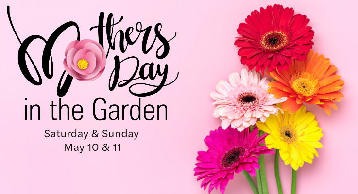 Mother's Day in the Garden
